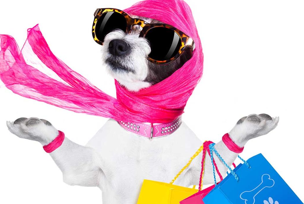 Proteus Life 2018 Edition 1