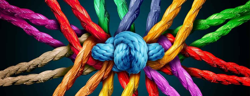 Building Your Credibility