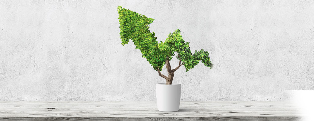 3 Seeds To Plant For Future Growth