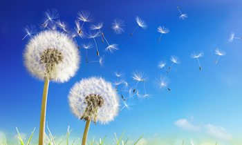 The Winds Of Change – VIC & TAS