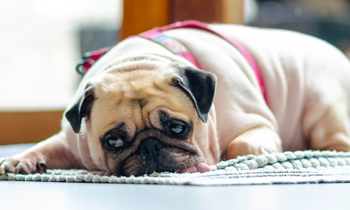 Don’t Be Afraid To Let Things Out!