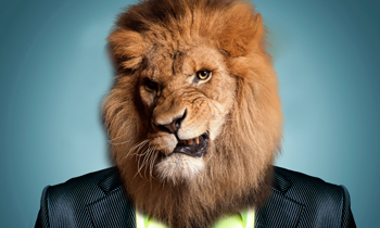 Leadership Is About Communication – Stop Grunting At Me!