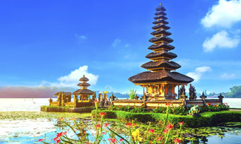 Proteus News – Changes to Bali Conference