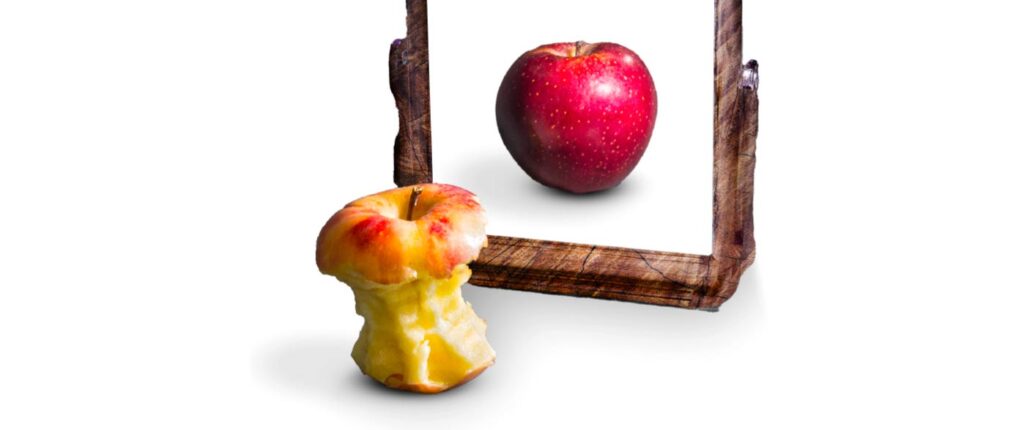 The Leadership Paradox