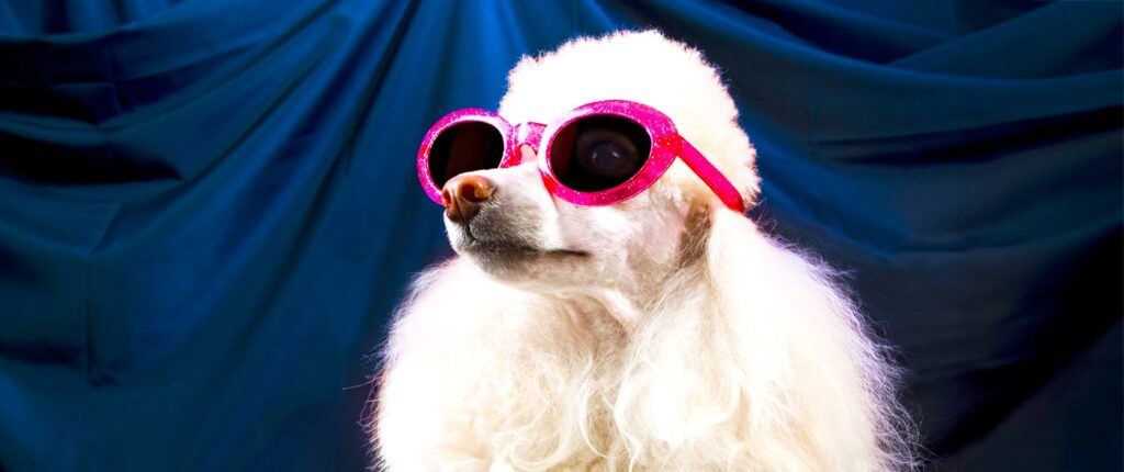 What’s with the attitude?