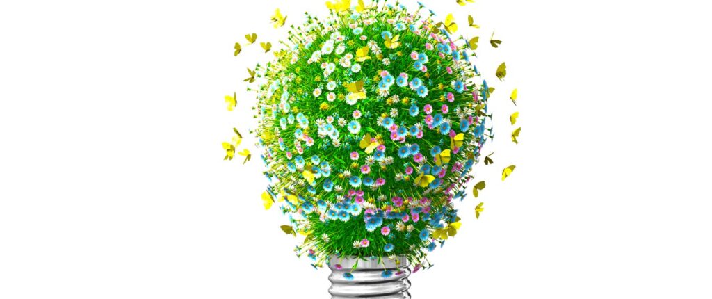 Where growth and learning happens