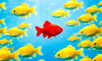 Listen Like You’re Wrong